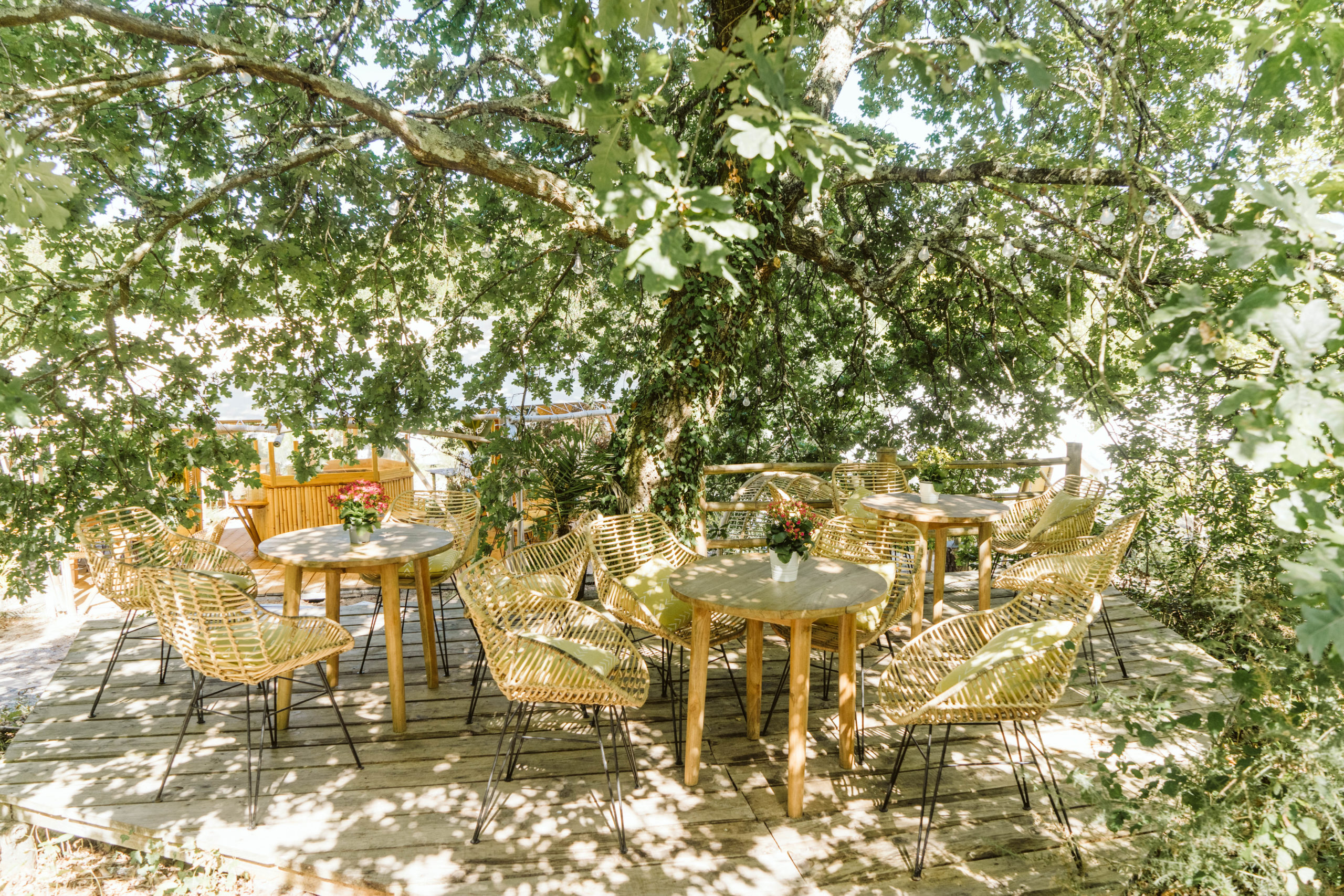 rose glamping france